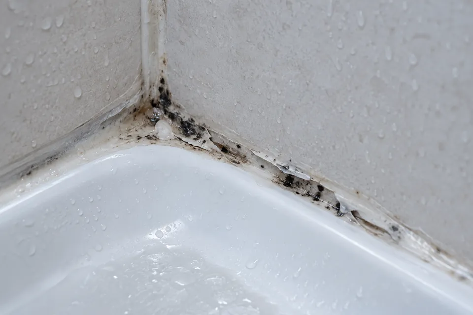 Alte Silikonfuge mit schwarzen Schimmelflecken in der Ecke einer Dusche